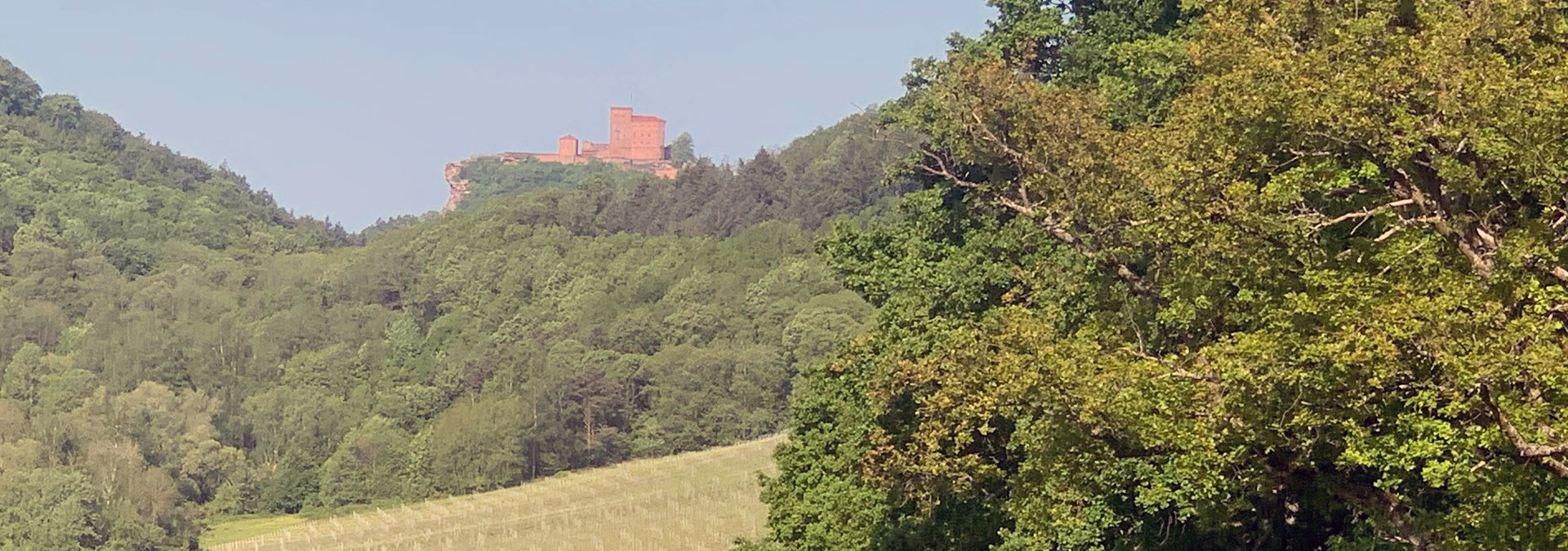 Kolping Familie Landau