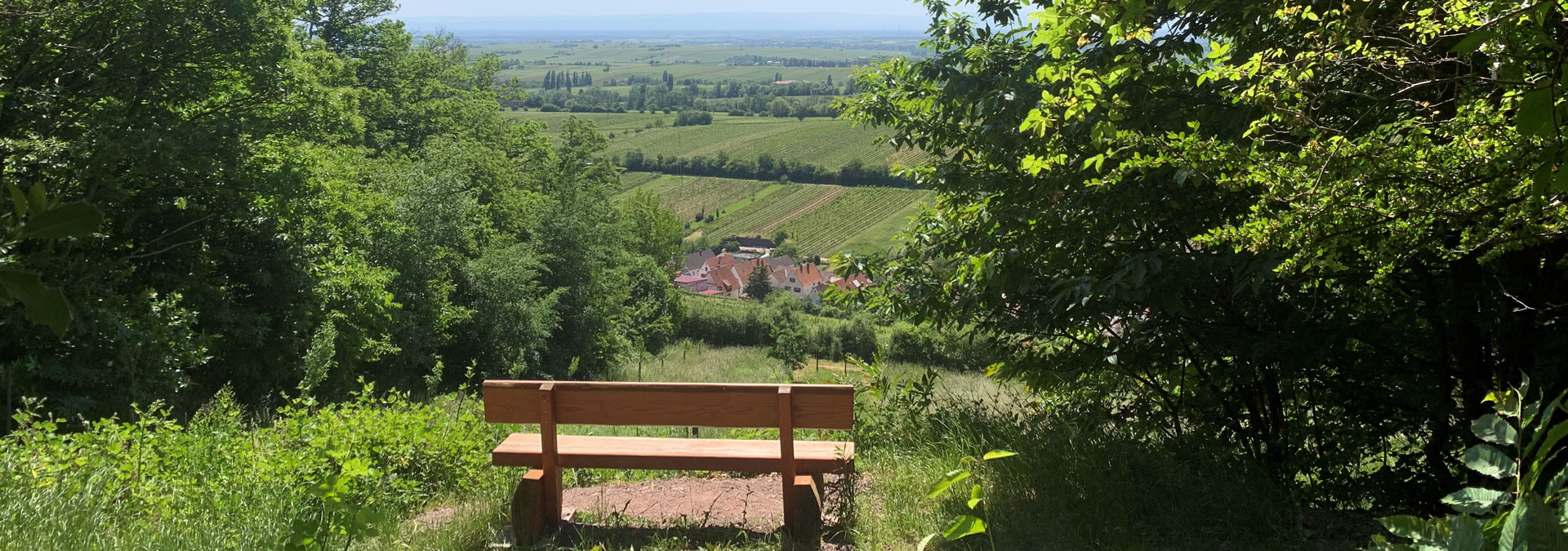 Kolpingsfamilie Landau